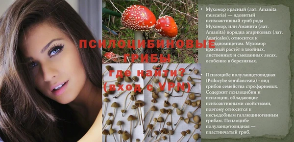 стафф Абинск