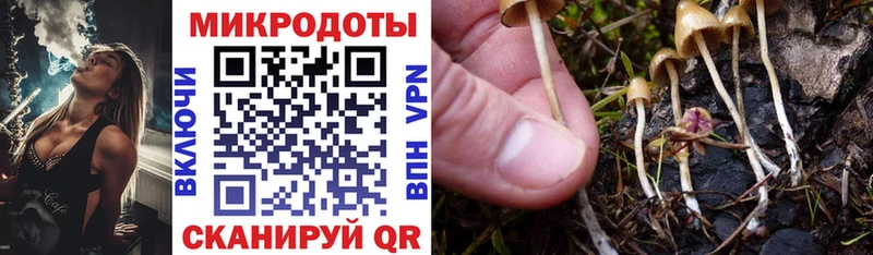 Псилоцибиновые грибы мицелий  ОМГ ОМГ как зайти  Братск 